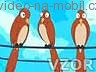 Amorek a ptáčci, Video na mobil